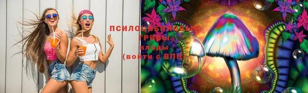 индика Бронницы