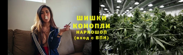 эйфоретик Бородино