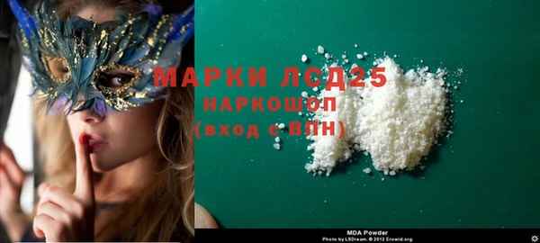 индика Бронницы