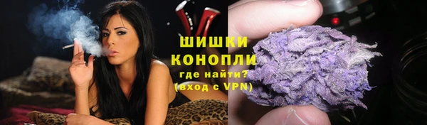 эйфоретик Бородино