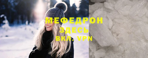 индика Бронницы