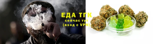 эйфоретик Бородино