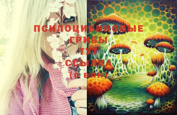молекула духа Бугульма