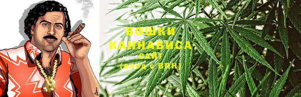 эйфоретик Бородино