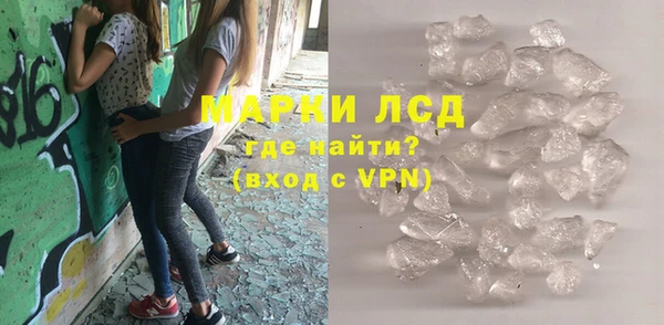 индика Бронницы