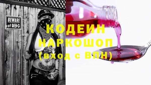 эйфоретик Бородино