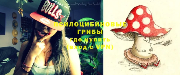 эйфоретик Бородино