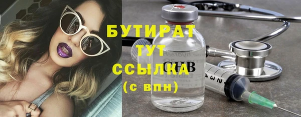 индика Бронницы
