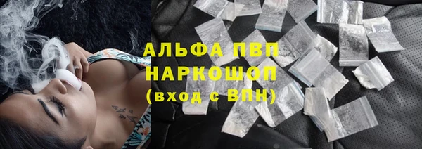 индика Бронницы