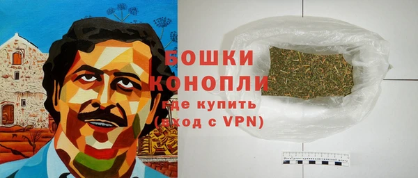 индика Бронницы
