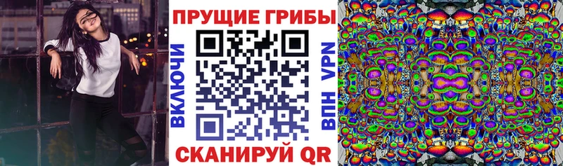 цены   Палласовка  darknet какой сайт  Галлюциногенные грибы GOLDEN TEACHER 