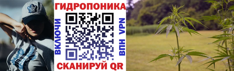 Бошки марихуана семена  хочу наркоту  Палласовка 